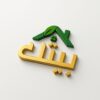 Shazia Mir